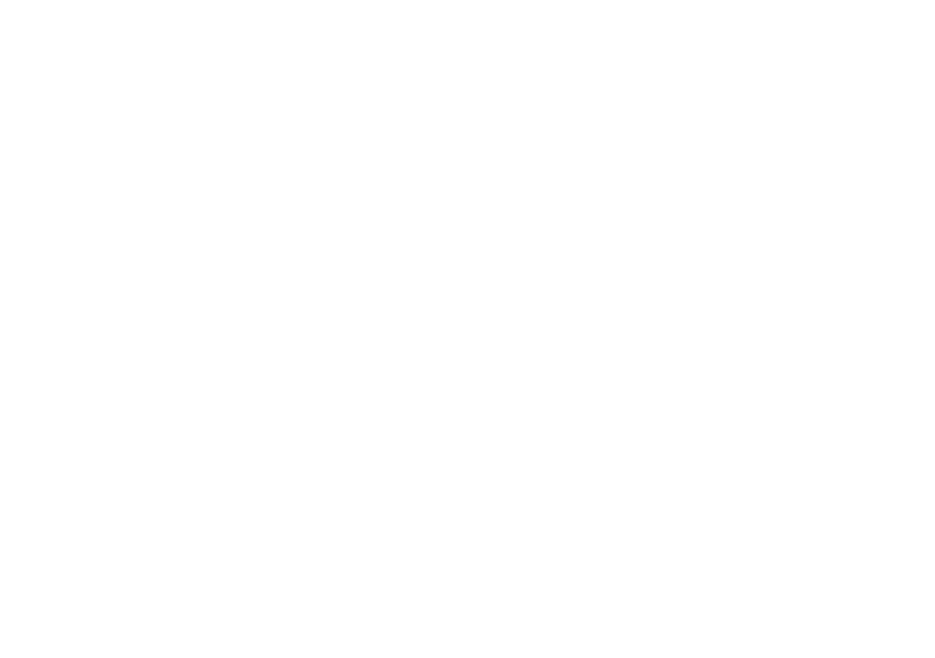 SLB logo in white